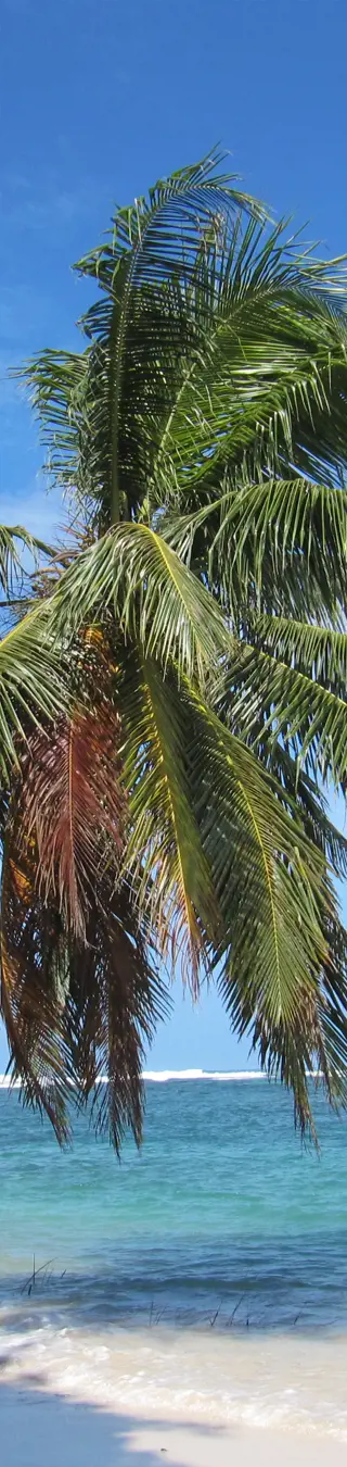 Inselleben in Bocas del Toro